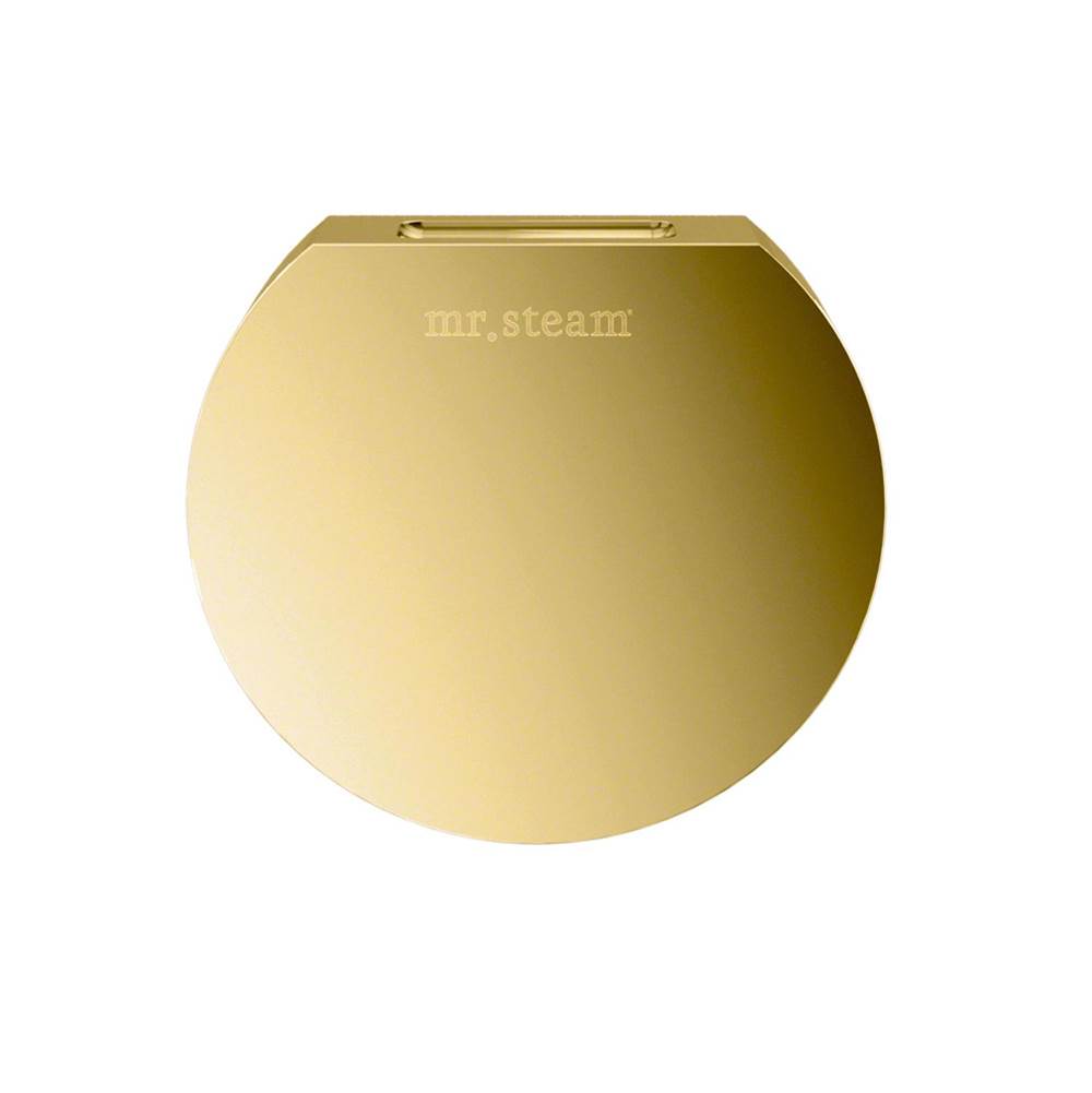 Mr. Steam Aroma Designer 3 in. W. Steamhead with AromaTherapy Reservoir in Round Polished Brass