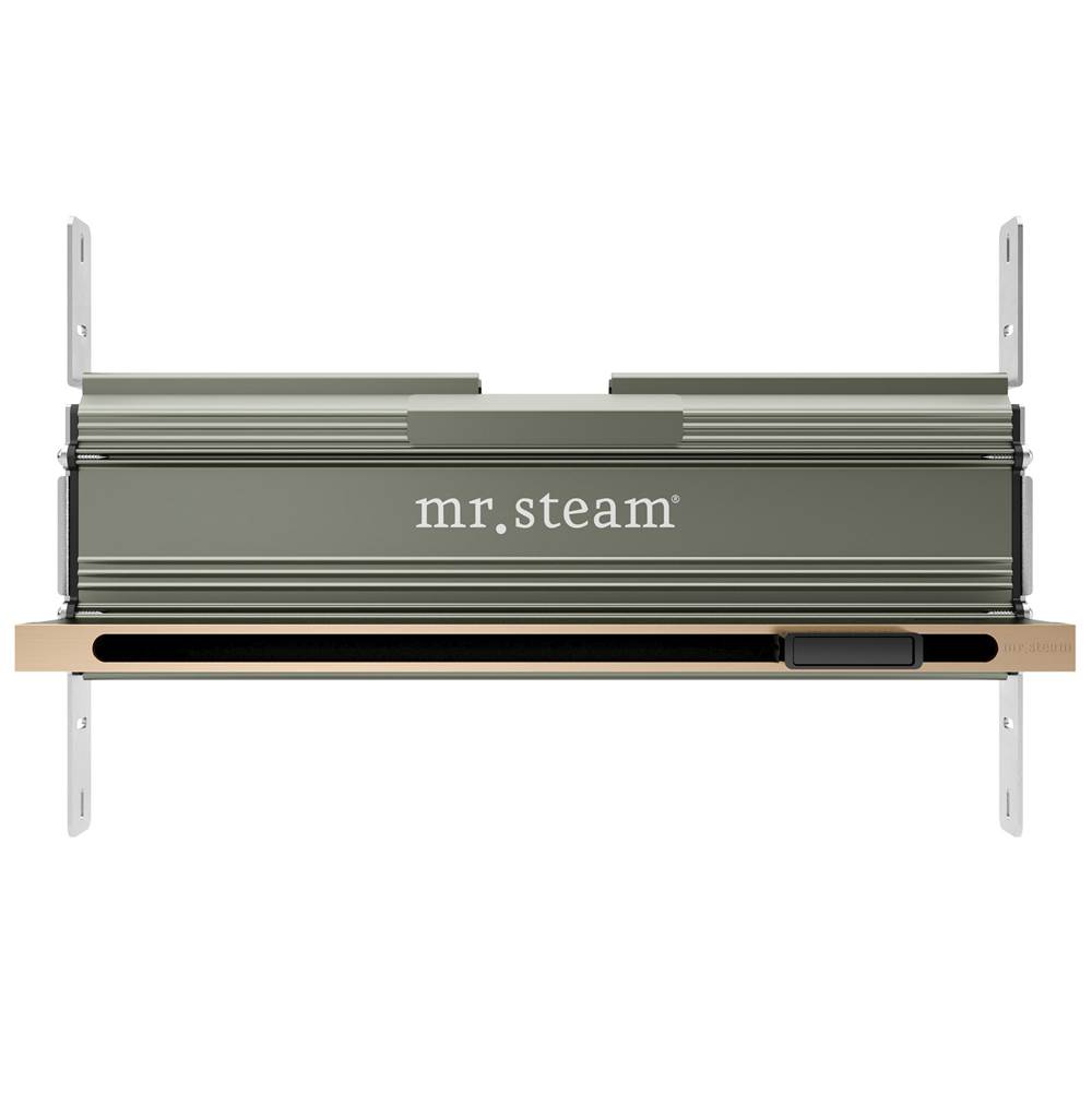 Mr. Steam Linear 16 in. W. Steamhead with AromaTherapy Reservoir in Brushed Bronze