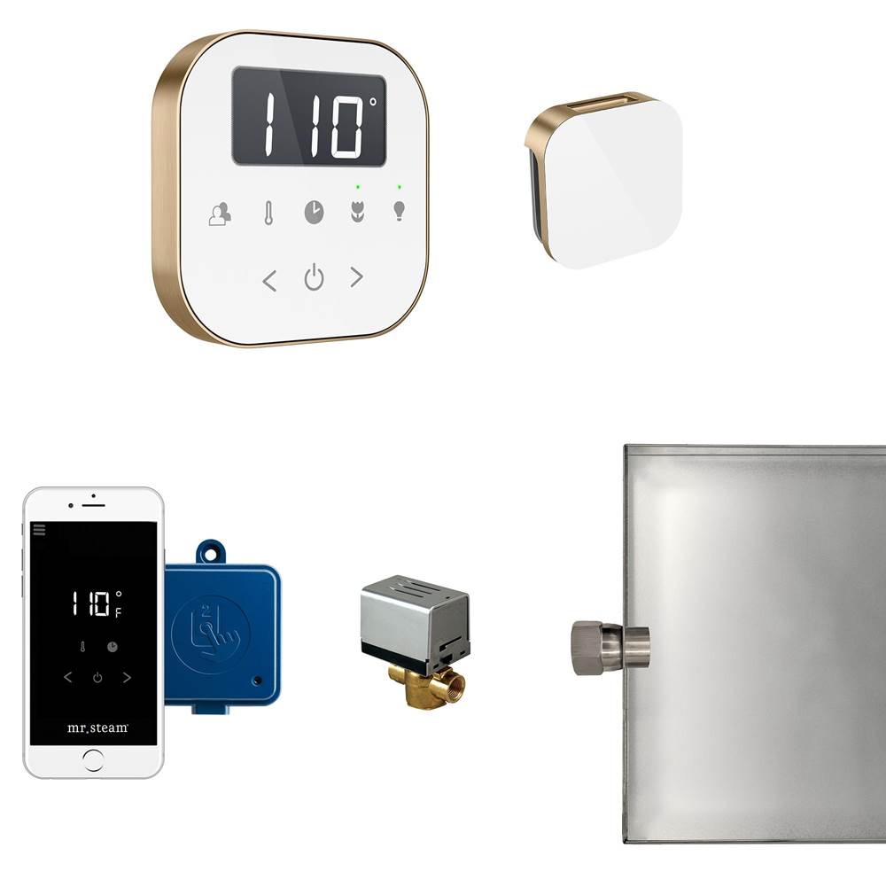 Mr. Steam AirButler Steam Shower Control Package with AirTempo Control and Aroma Glass SteamHead in White Brushed Bronze